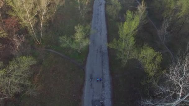 Survol d'un couple qui se promène le long d'une route de campagne — Video