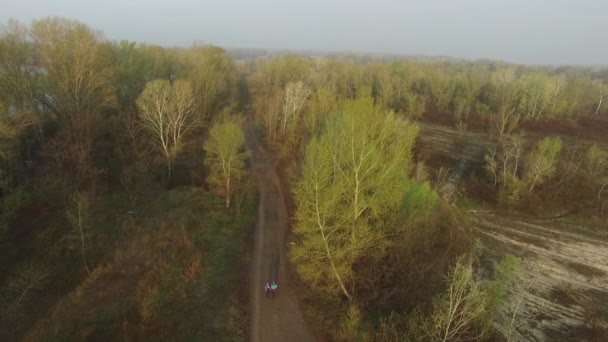 Vista aérea de um casal que passeia ao longo de uma estrada rural — Vídeo de Stock