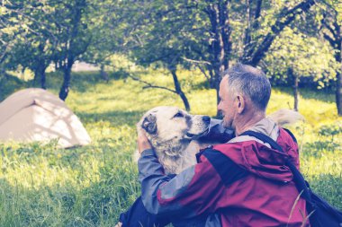 Adam gezgin bir kampta büyük köpek ile oynuyor