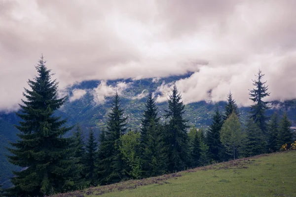 낮은 무거운 구름 산 골짜기 위에 떠 — 스톡 사진