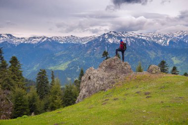 Maceracı Alpin çayır kenarında büyük taş üzerinde duruyor
