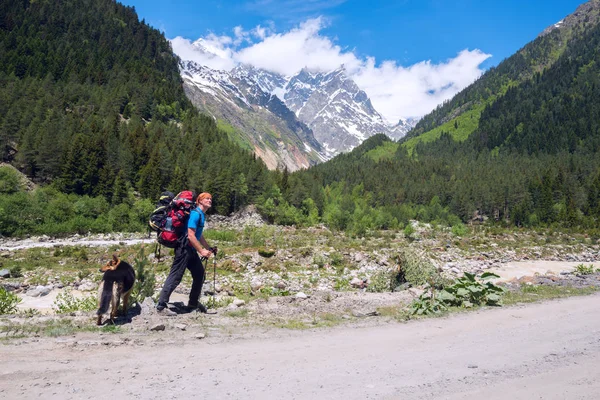 Homem viajante com grande cão caminha na estrada em um desfiladeiro de montanha — Fotografia de Stock