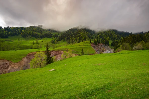 Niedrige graue Wolken schweben über der grünen Alm — Stockfoto