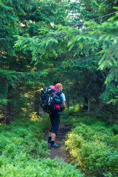 Viajante ir com mochila grande ao longo da trilha — Fotografia de Stock