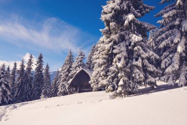 Eski ahşap barınak karla kaplı
