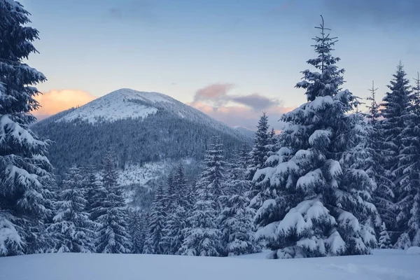 Dağlarda günbatımı sırasında kış manzarası