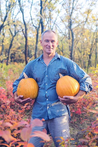 Man stands with two huge pumpkins among the colorful autumn leav