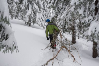 Dostum, gezgin bir kucak dolusu yakacak odun sürükler 