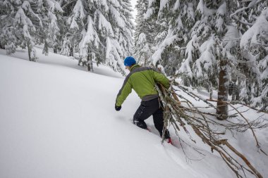 Gezgin, zorluk ile bir kucak dolusu yakacak odun sürükler. 