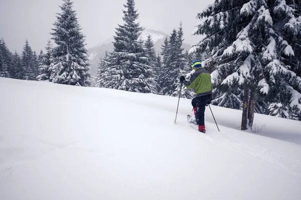 Viajero, en raquetas de nieve, sube por la pendiente —  Fotos de Stock