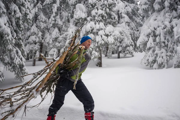Радісний авантюрист тягне обладунок з дров — стокове фото