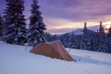 Sarı çadır, hoarfrost ile kaplı