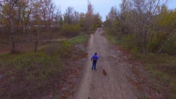 Vlucht over een blije vrouw, die loopt en speelt met een grappige kleine hond — Stockvideo