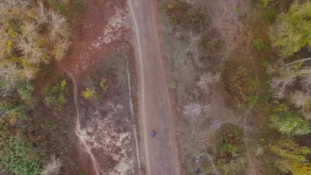 Vue aérienne d'une femme, qui se promène avec un petit chien drôle sur la route dans la forêt d'automne 