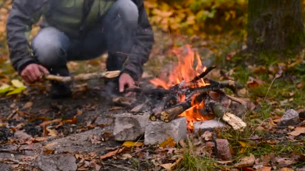 Man traveler makes a bonfire on the meadow in the autumn forest — Stock Video