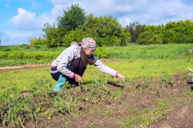 Modern kadın bahçede çalışıyor