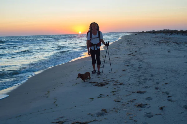 犬と旅行者がサーフィン ラインに沿って歩く — ストック写真