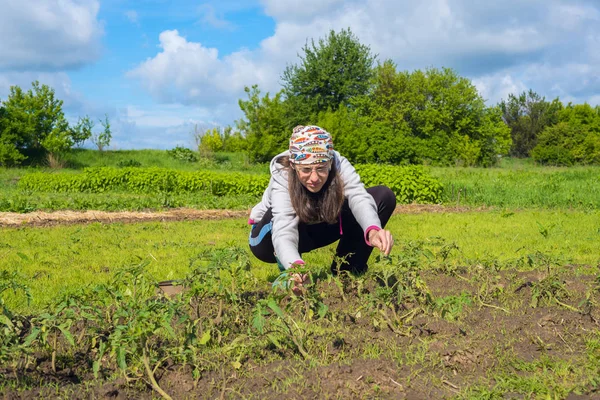Coşkuyla, modern kadın bahçede çalışıyor
