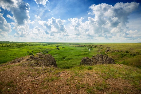 Distesa verde di prateria sotto il cielo blu — Foto Stock