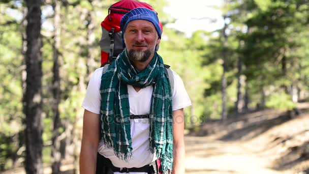 Viajero Barbudo Con Mochila Está Pie Sendero Forestal Entre Pinos — Vídeos de Stock