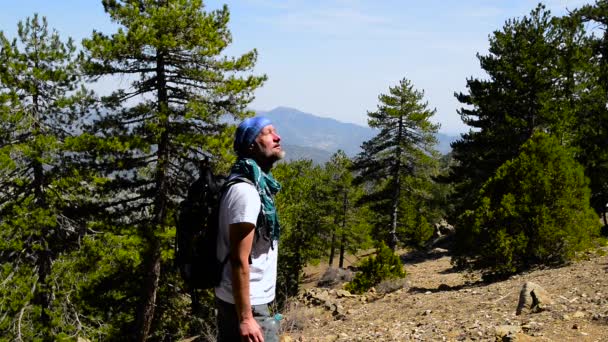 美しい景色を眺め 水を飲むと人生を楽しんで 髭がある旅行者は針葉樹林に覆われた山の中腹に立っています トロードス キプロスで素敵な晴れた日 — ストック動画