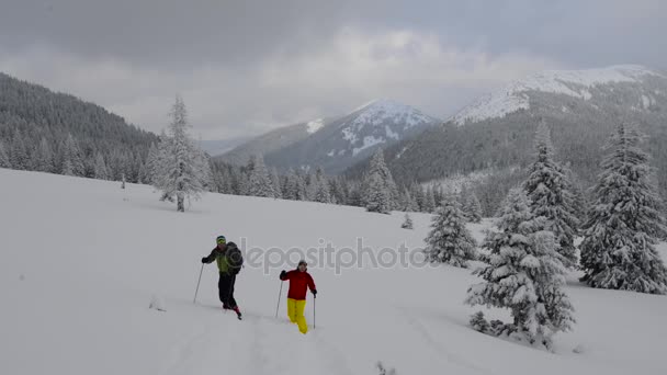 Couple Happy Travelers Snowshoes Walk Deep Snow Mountain Glade Huge — Stock Video