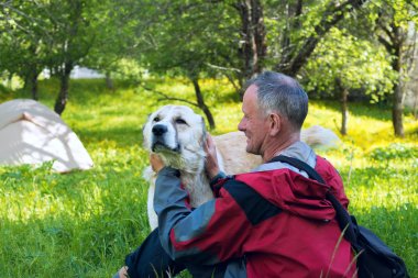 Mutlu traveler çadır yanındaki büyük çoban köpeği ile çalış