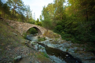Yeşil ağaçlar arka plan üzerinde Elia Köprüsü 
