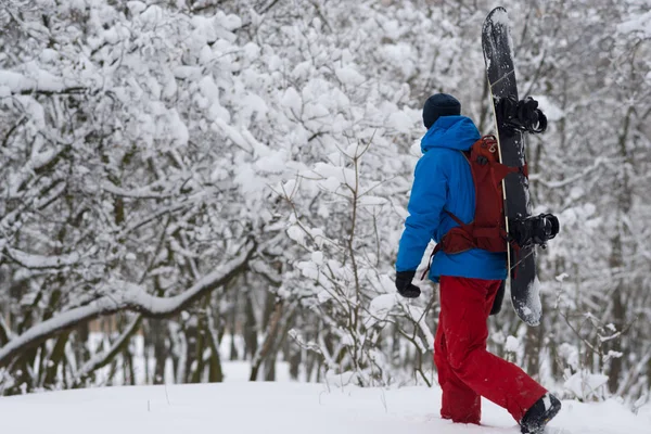 A hátizsák snowboardos sétál az erdőben — Stock Fotó