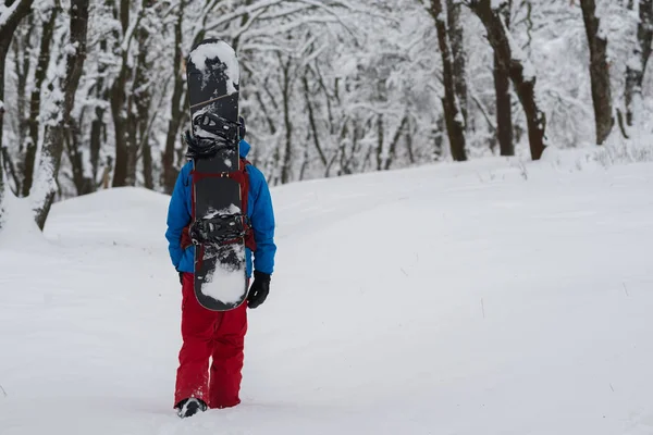 Snowboardåkare med ryggsäck promenader genom skogen, bakifrån — Stockfoto