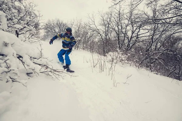 Snowboard hızlı karla kaplı ağaçlar arasında snowfal sonra biniyor — Stok fotoğraf