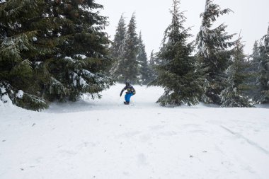 Snowboard sürmek büyük karla kaplı çam ağaçları arasında