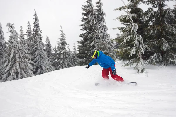 Snowboarder cabalga por una ladera montañosa, en una nieve profunda —  Fotos de Stock
