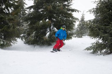 Zor koşullarda bir kış orman snowboard rides 