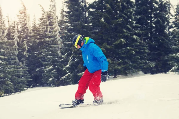 Snowboardista, free rider jezdí v zimním lese — Stock fotografie