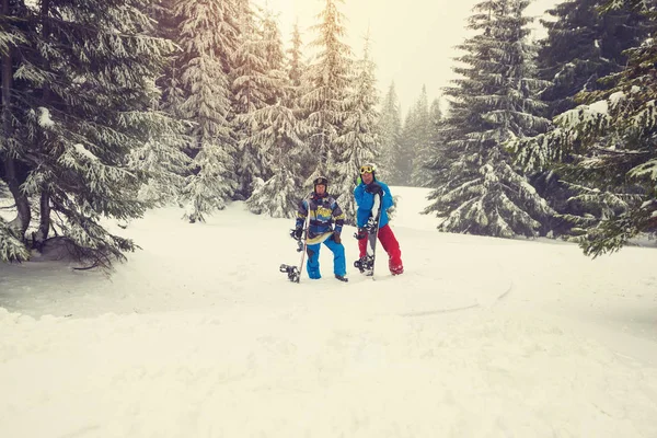 Des snowboarders joyeux se détendent au milieu d'immenses sapins enneigés — Photo