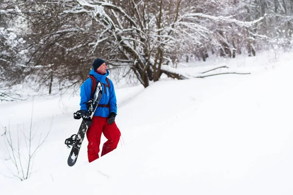 Glad snowboardåkare står i skogen vinter, beundra vintern l — Stockfoto