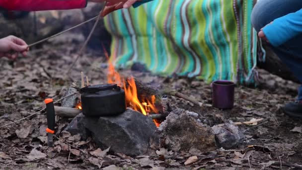 Picknick Våren Skog Vandrare Toast Korv Vid Lägerelden Och Spela — Stockvideo