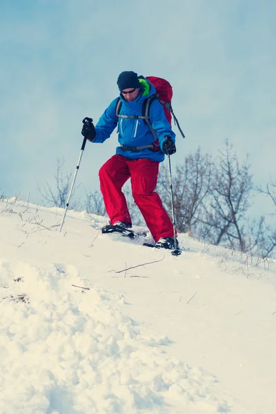 Kar ayakkabılarını fiyatı bir kış ormandaki bir tepeden aşağı yürüyor — Stok fotoğraf