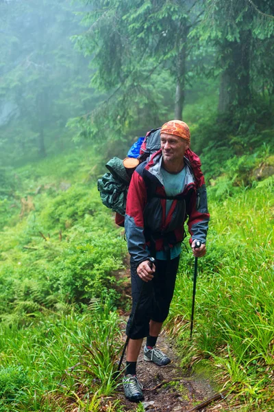 Gelukkig wandelaar staat in mistige bos — Stockfoto