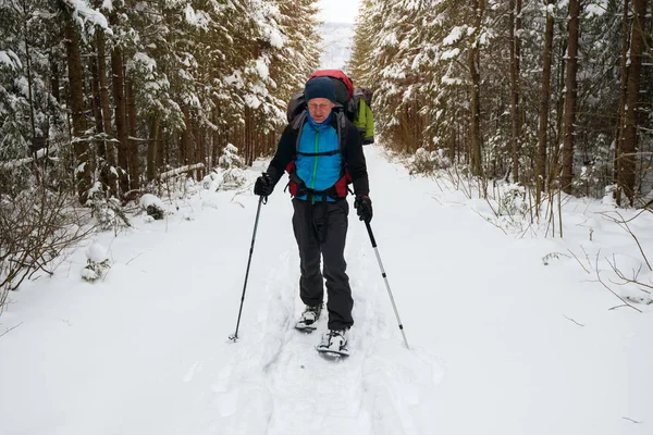 Τυχοδιώκτης είναι το περπάτημα με χιονοπέδιλα ανάμεσα σε τεράστια πεύκα — Φωτογραφία Αρχείου