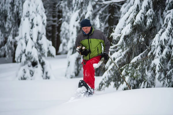 Maceracı onun elinde odun ile kar ayakkabıları içinde yürüyor