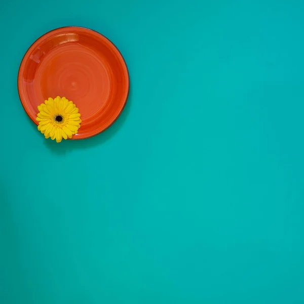 Red dish with yellow flower on turquoise background
