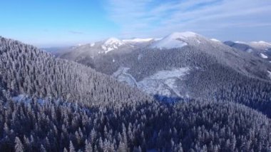 Bir kış dağlar üzerinde uçan güneşli bir akşam iğne yapraklı ormanları ile kaplı.