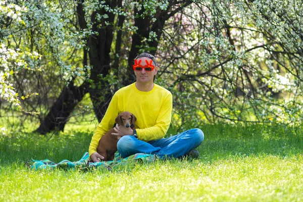 Hombre adulto en gafas de sol de carnaval con su perro divertido — Foto de Stock