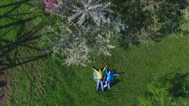 Luftaufnahme Eines Glücklichen Paares Mit Lustigem Hundedackel Das Mit Offenen — Stockvideo