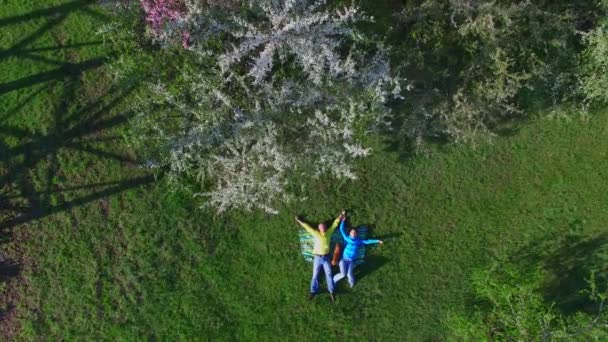 Luchtfoto Van Gelukkige Paar Met Grappige Hond Teckel Liggen Groene — Stockvideo