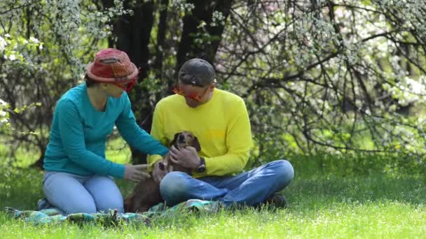 欢乐的情侣与滑稽的狗腊肠在嘉年华眼镜坐在绿色的草地下的野生盛开的樱桃 在一个令人敬畏的春天的一天乐趣 — 图库视频影像