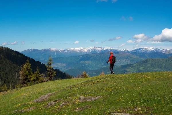 Wandelaar loopt langs een groene berg weide — Stockfoto