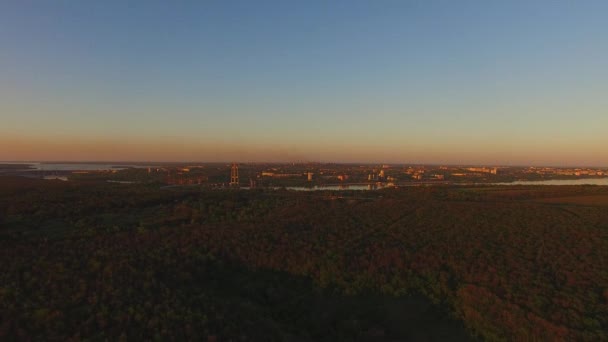 Vista Aérea Costa Boscosa Gran Río Junto Una Gran Ciudad — Vídeos de Stock